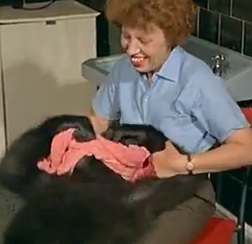 1967 Holiday Camp Music – Joe the baby gorilla takes a bath