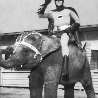 Batman CAN ride an elephant