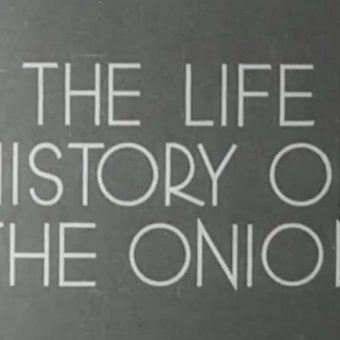 The British Council archive – 120 films of life in the 1940s