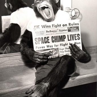 1961: Ham the chimpanzee is shot into space
