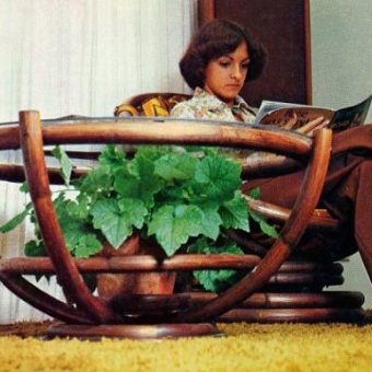 Houseplants of the 1970s (ferns and tongues)