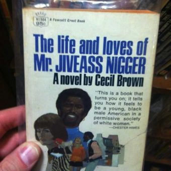 Book of the Day: The Life and Loves of Mr Jiveass Nigger