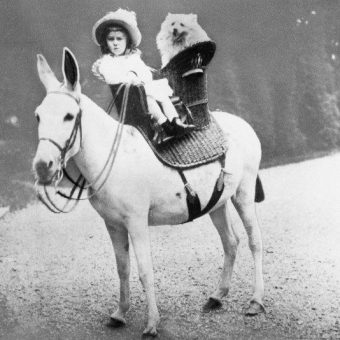 Flashback: Little Lord Franklin Delano Roosevelt And Budgy Ride His Pet Donkey In A Short Skirt
