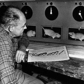 1947: Edward Moffitt And His Stable Of 80 Albino Racing Rats