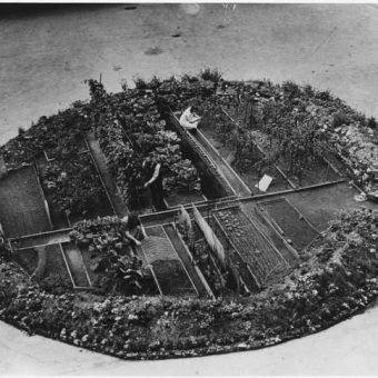 A Victory Garden Inside A London Bomb Crater, 1943