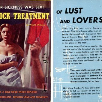 An Ambush Of Psychotic Lust! 10 Sleazy Mid-Century Paperback Blurbs