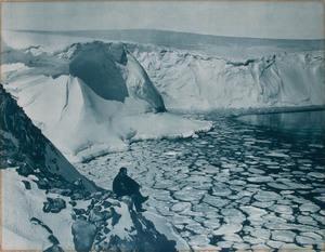 Photos Of A Daring Expedition To Antarctica, 1911-1914