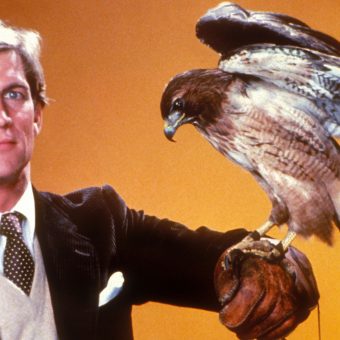Sci-Fi TV: 1983 – Wizards, Holograms, and Manimal!