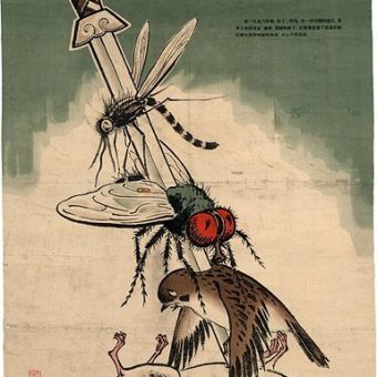 When China Wiped Out the Common Sparrow And Slit Its Own Throat (1958)