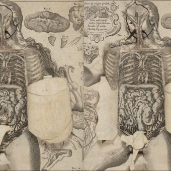 Highlights From A 1661 Anatomical Pop-Up Book