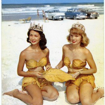 Old Florida Postcards With Bettie Page And Horny Alligators