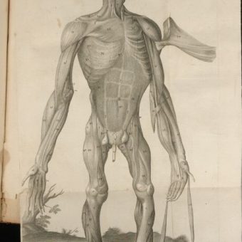 Monkey, An Ape And A Man: The Anatomy of A Pygmie Race (1699)