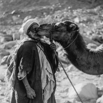 Stirring 1898 Portraits of Bedouins By The Evangelical American Colony Photo Department