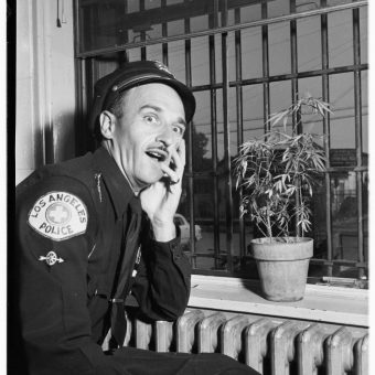 Marijuana In Van Nuys Jail, Los Angeles, 1951