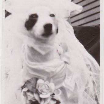 A Curious Collection of June Brides: Vintage Marriage Snapshots